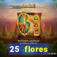 25 flores silvestres com nomes